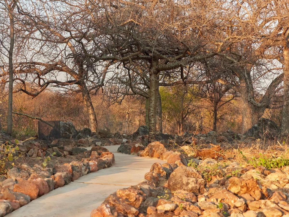 Zuricamp - Tent Zahir Tsumeb Exteriér fotografie