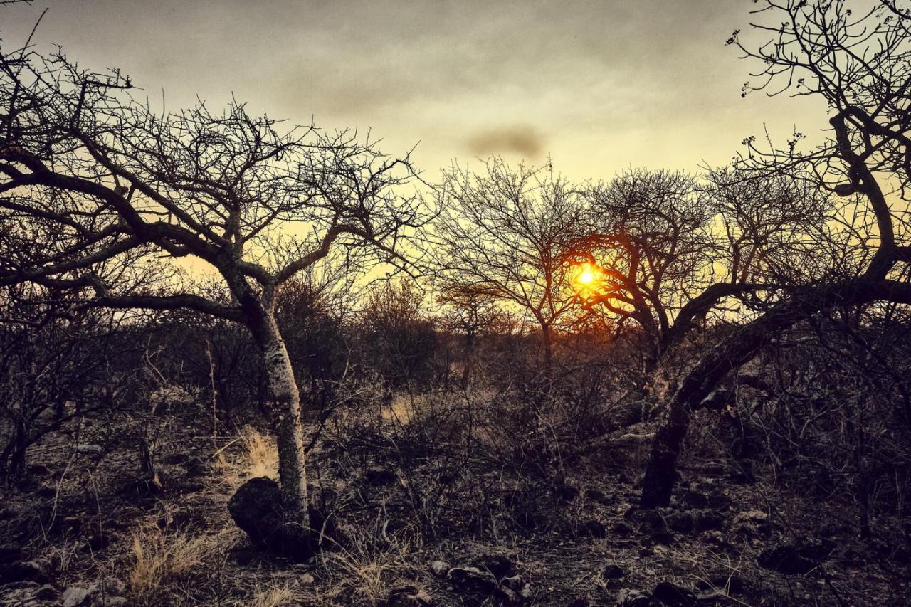 Zuricamp - Tent Zahir Tsumeb Exteriér fotografie
